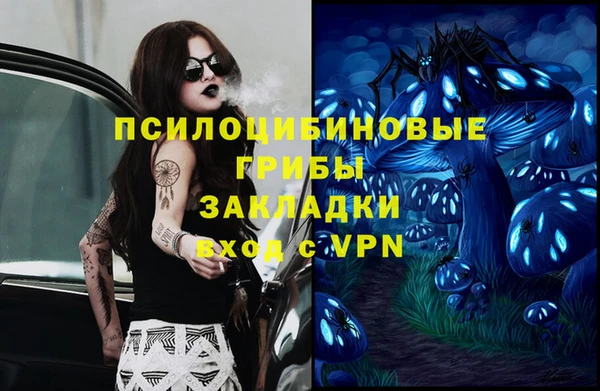 a pvp Зеленокумск