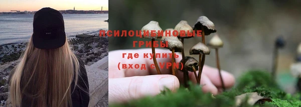 бошки Зеленодольск