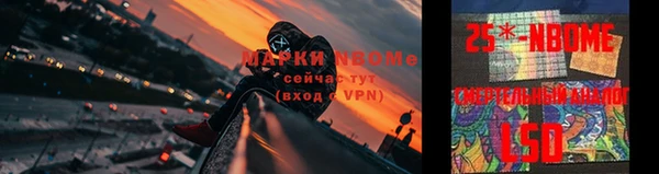 бошки Зеленодольск