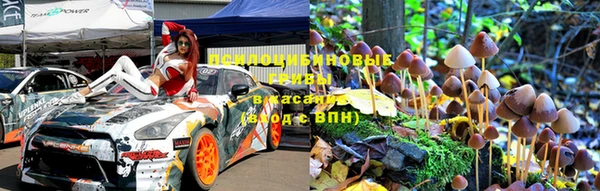 a pvp Зеленокумск