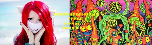 бошки Зеленодольск