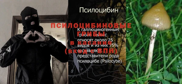 бошки Зеленодольск