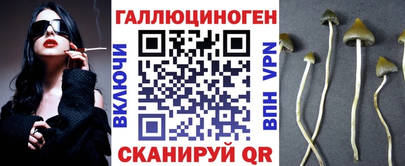 Купить где  Новосиль  Галлюциногенные грибы Psilocybe 
